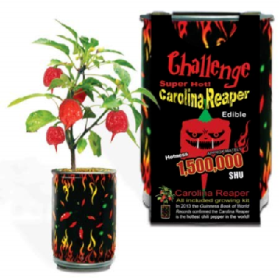 CHALLENGE SEEDS, CAROLINA REAPER Seeds